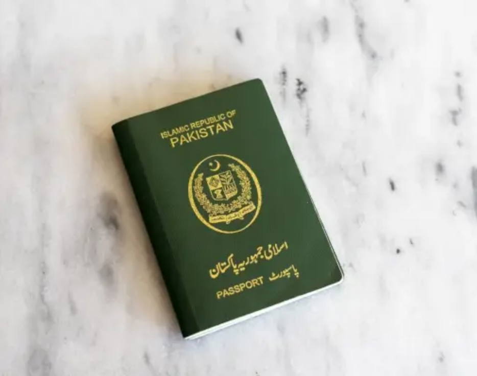 Visa Service